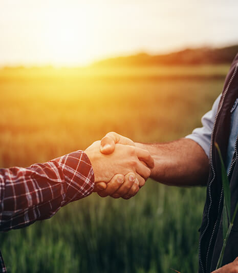 Deux hommes se serrent la main dans un champs