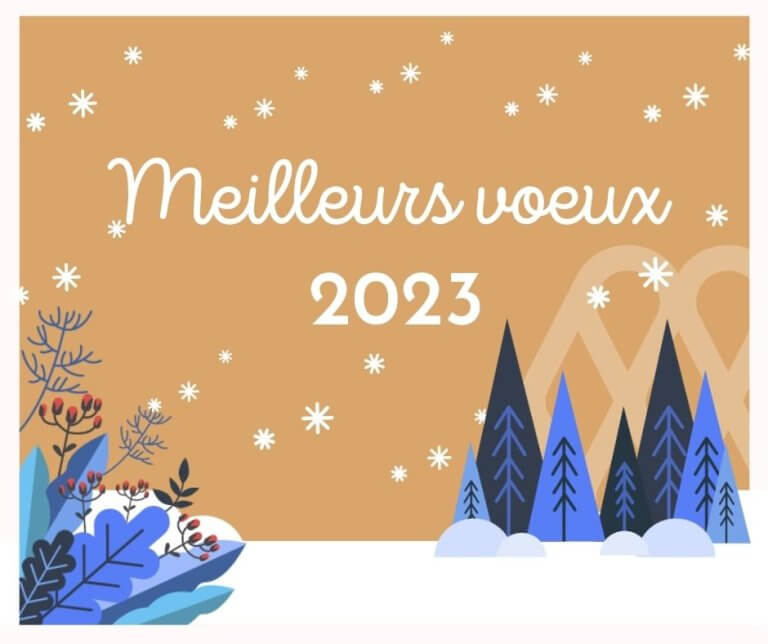 Meilleurs voeux 2023 - SITE WEB