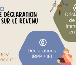 déclaration impot revenu aide entreprise