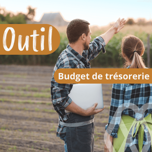 Budget de tresorerie