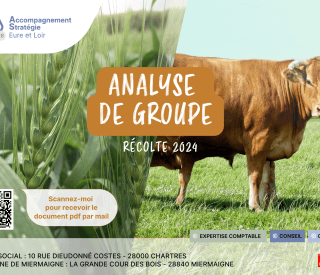Analyse de groupes Recolte 2024 face