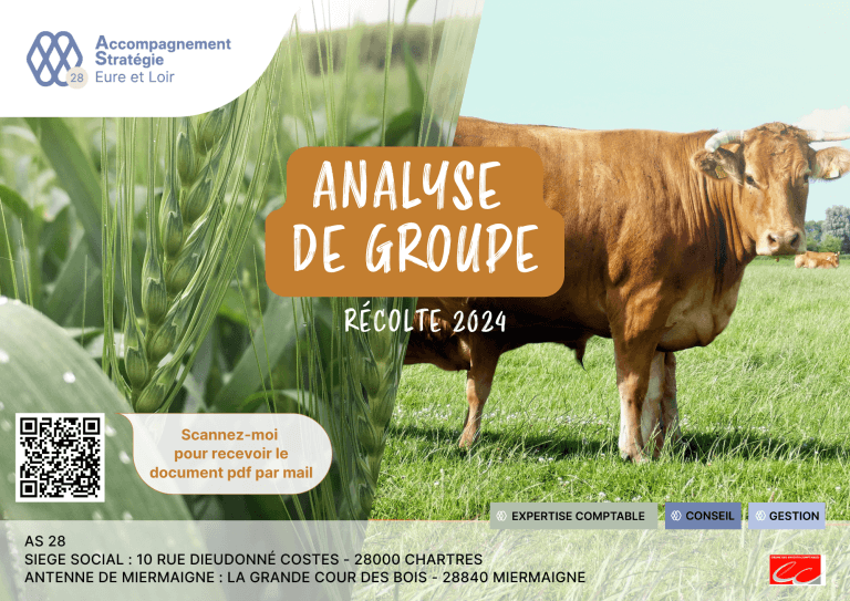 Analyse de groupes Recolte 2024 face