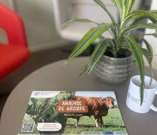 analyse de groupe 2024