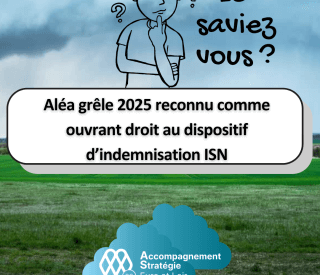 Image article web ISN 2025