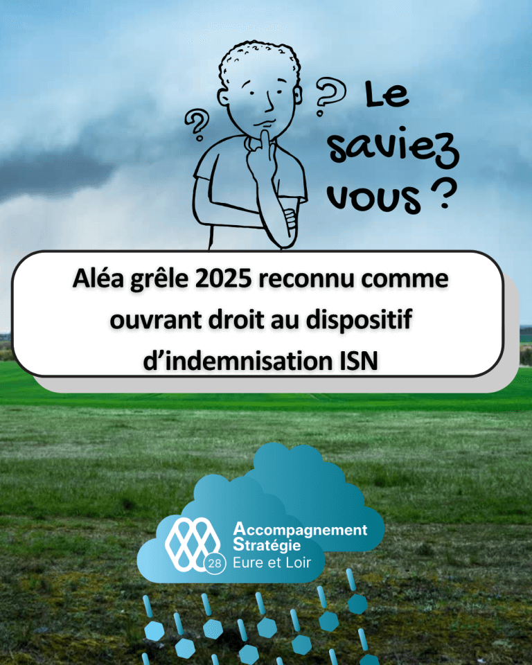 Image article web ISN 2025