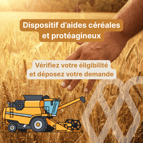 Aides conseil 6