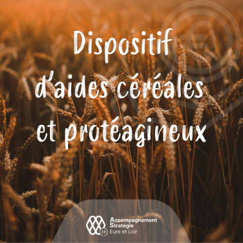 Aides conseil