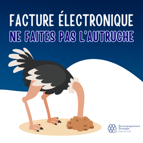 ne faîtes pas l'autruche facture électronique