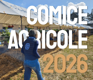 image en avant article comice