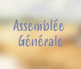 image à la une pour site web 2