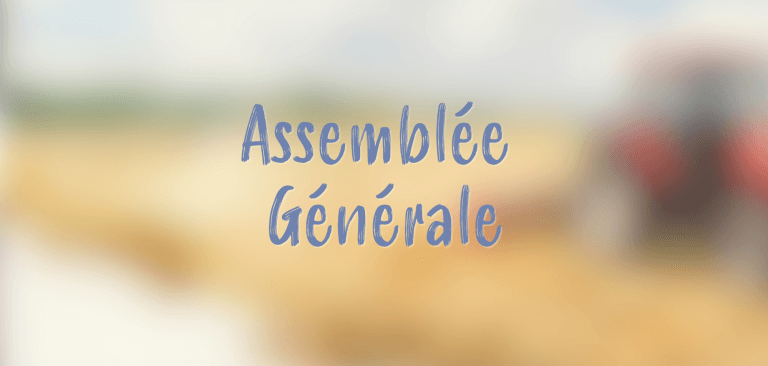 image à la une pour site web 2